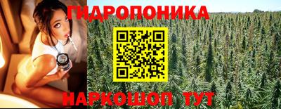 дмт Славгород