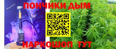 дмт Славгород