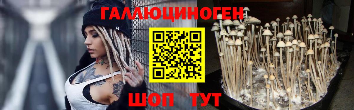 Псилоцибиновые грибы MAGIC MUSHROOMS Обь
