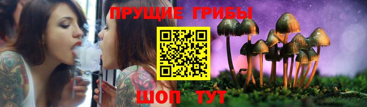 Обь  Псилоцибиновые грибы MAGIC MUSHROOMS  Вход с VPN 